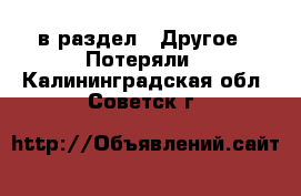  в раздел : Другое » Потеряли . Калининградская обл.,Советск г.